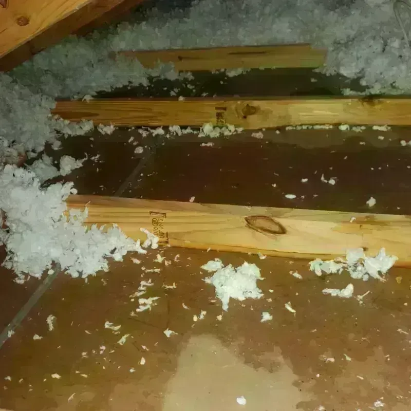 Attic Water Damage in Hoxie, KS