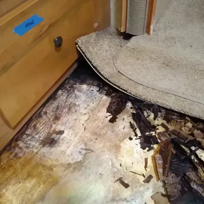 Best Wood Floor Water Damage Service in Hoxie, KS